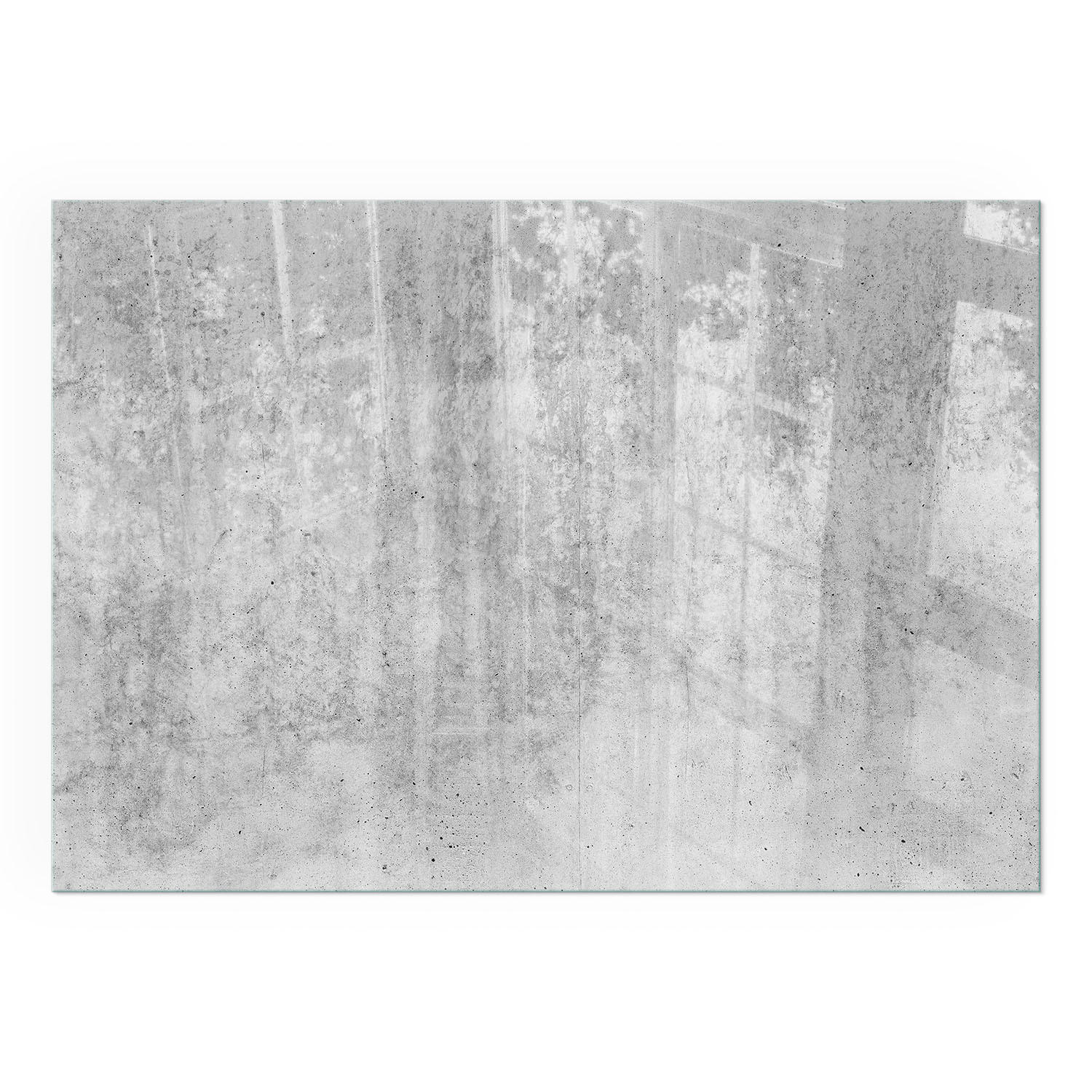 GLASPLATTE für Kamin 100x70 cm - Grau, Glas (100/70/0.4cm) - TULUP