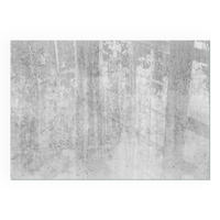 GLASPLATTE für Kamin 100x70 cm - Grau, Glas (100/70/0.4cm) - TULUP