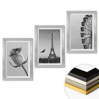 WANDBILDER 3er Set - 20x30 cm Silberner Rahmen - Rose Eiffelturm Riesenrad - Silberfarben, Kunststoff (20/30cm) - ArtPrintCave