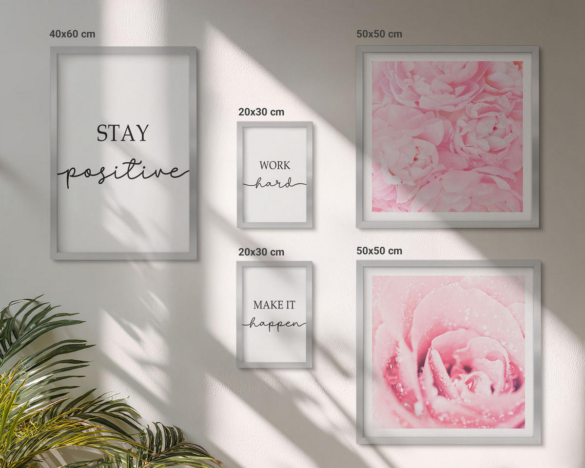BILDER SET 5er Set - 50x50 cm & 20x30 cm & 40x60 cm Silberner Rahmen - Minimalistische rosa Blüten - Silberfarben, Kunststoff (40/60cm) - TULUP