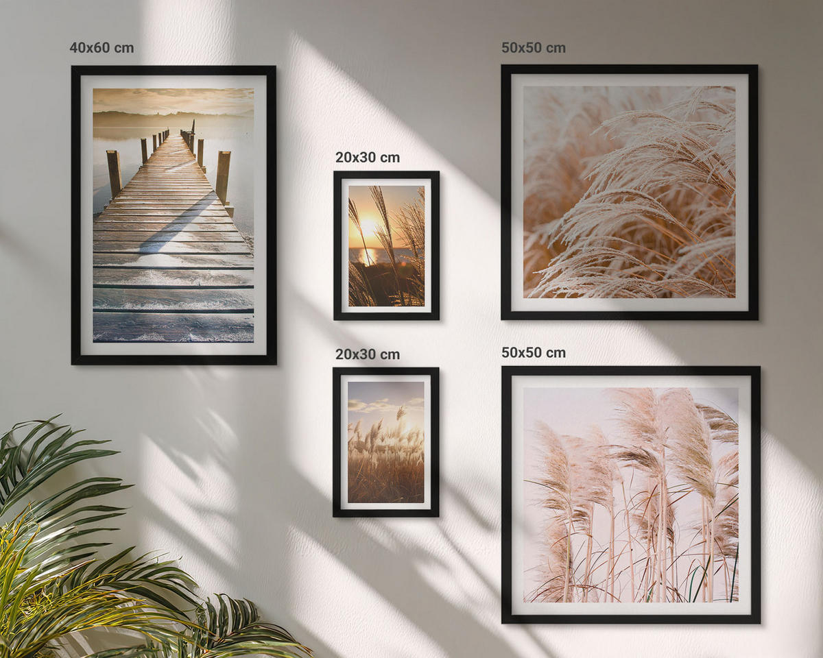 BILDER SET 5er Set - 50x50 cm & 20x30 cm & 40x60 cm Schwarzer Rahmen - Boho-Grasfeld-Sonnenuntergang - Schwarz, Kunststoff (40/60cm) - TULUP
