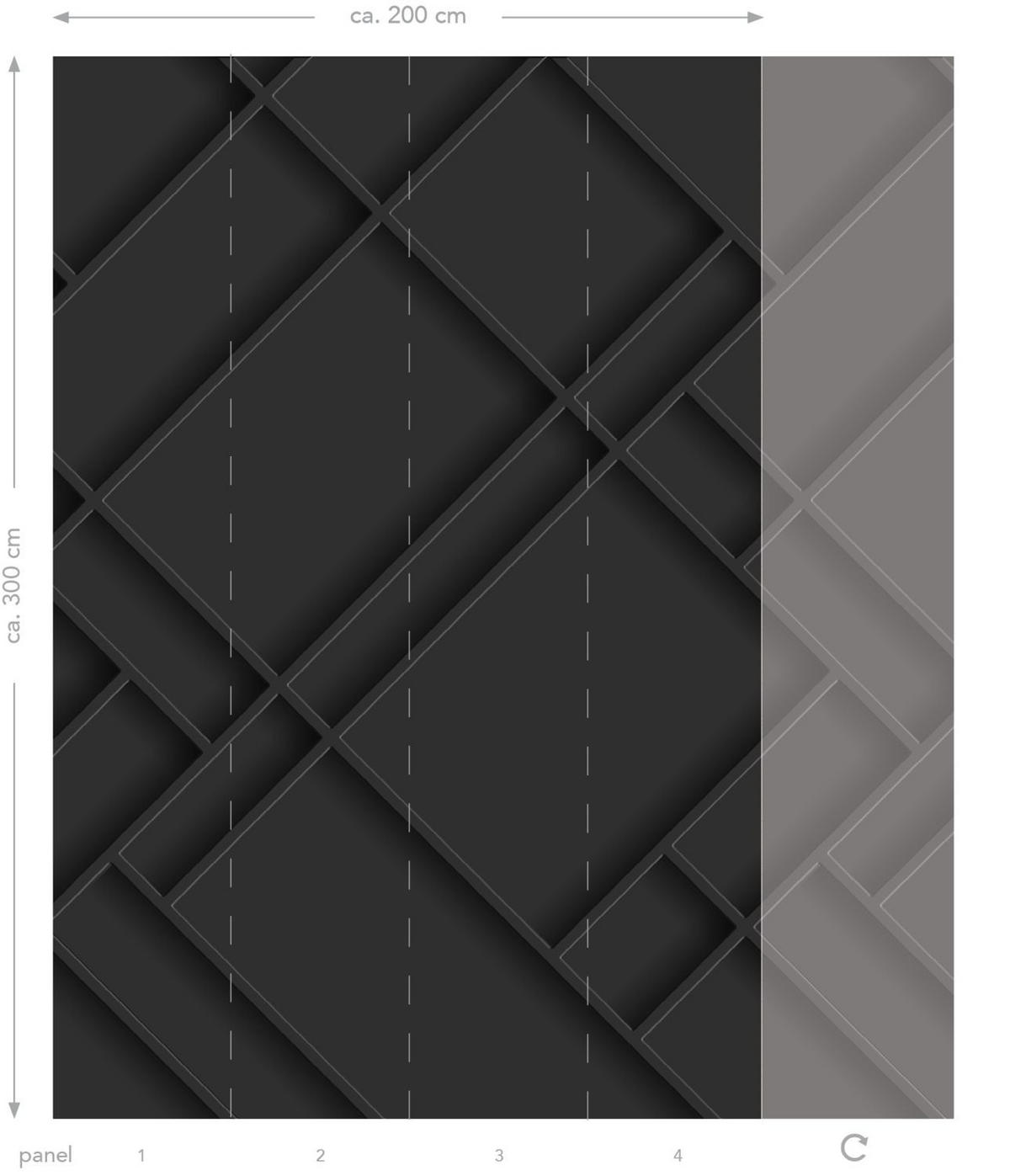 FOTOTAPETE Holzwandverkleidung 200 x 300 cm - Schwarz, Papier (200/300cm) - ESTAhome