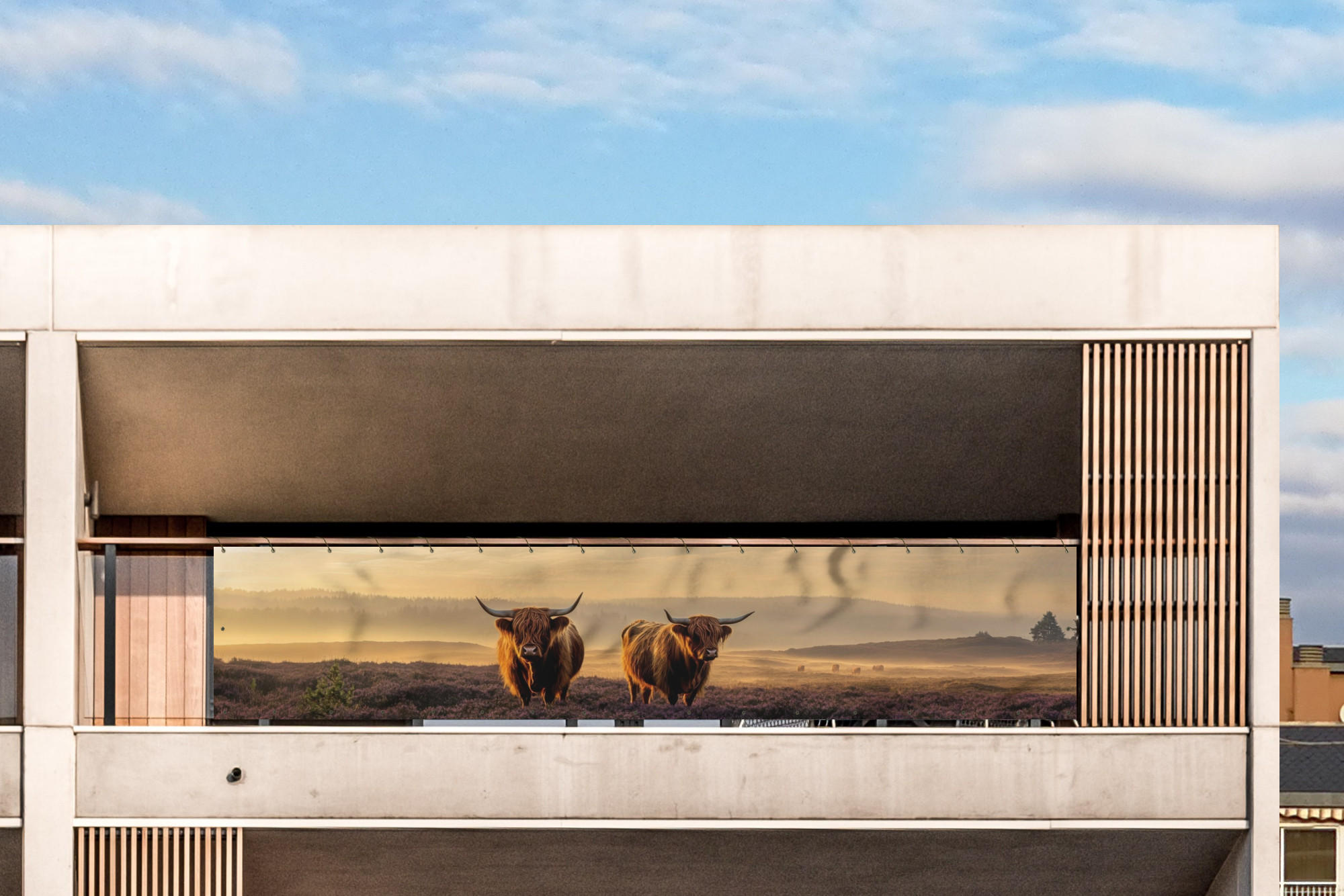 BALKON-SICHTSCHUTZ Schottische Hochlandbewohner - Heide - Landschaft - Tiere - Cognac, Kunststoff (500/95cm) - MuchoWow