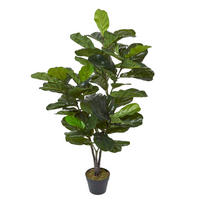 KUNSTPFLANZE Geigenfeige, 120 cm - Grün, Kunststoff (120cm) - Homescapes