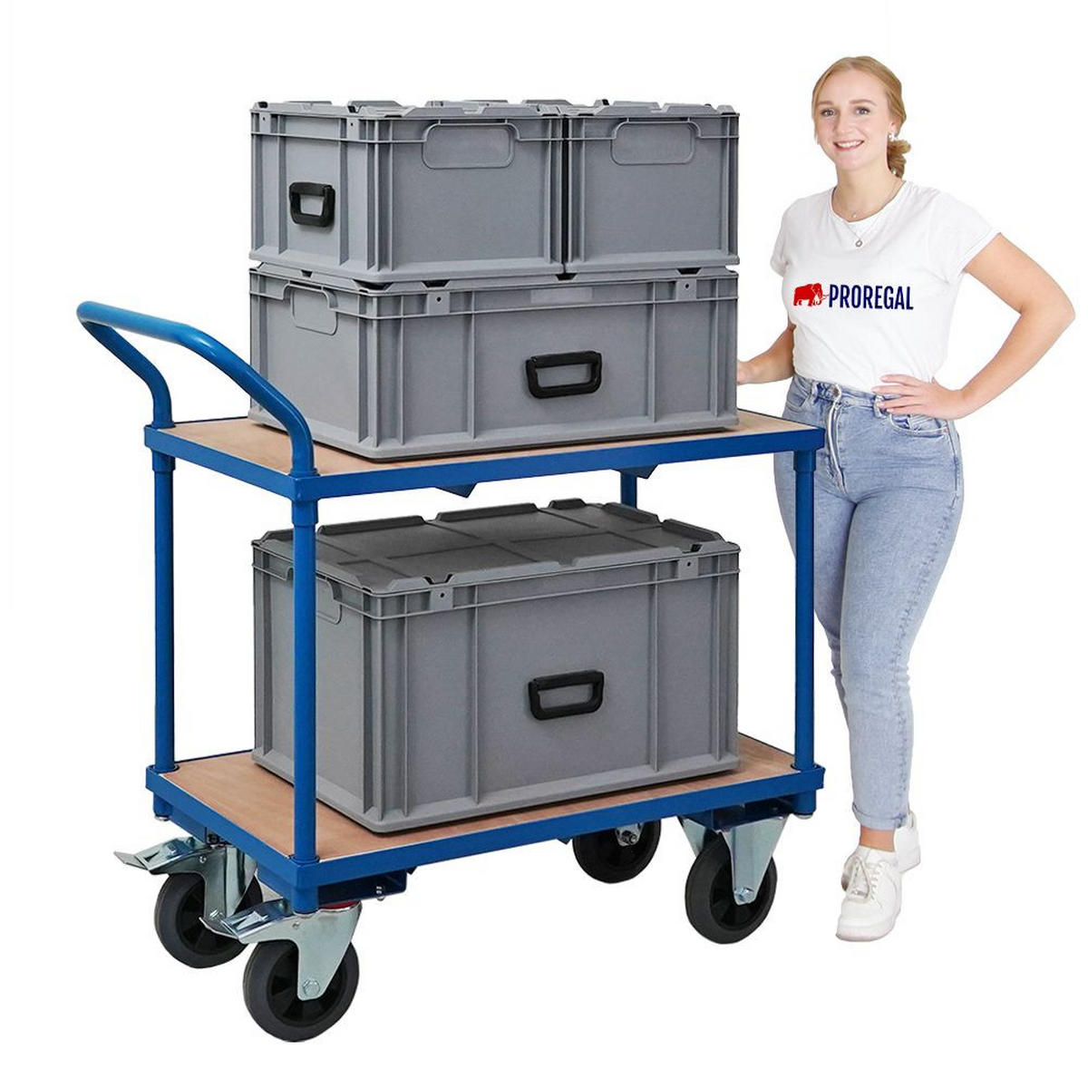 TISCHWAGEN mit 2 Etagen 95x50x97cm Traglast 400kg Lichtblau - Hellblau, Metall (97/50/95cm) - PROREGAL