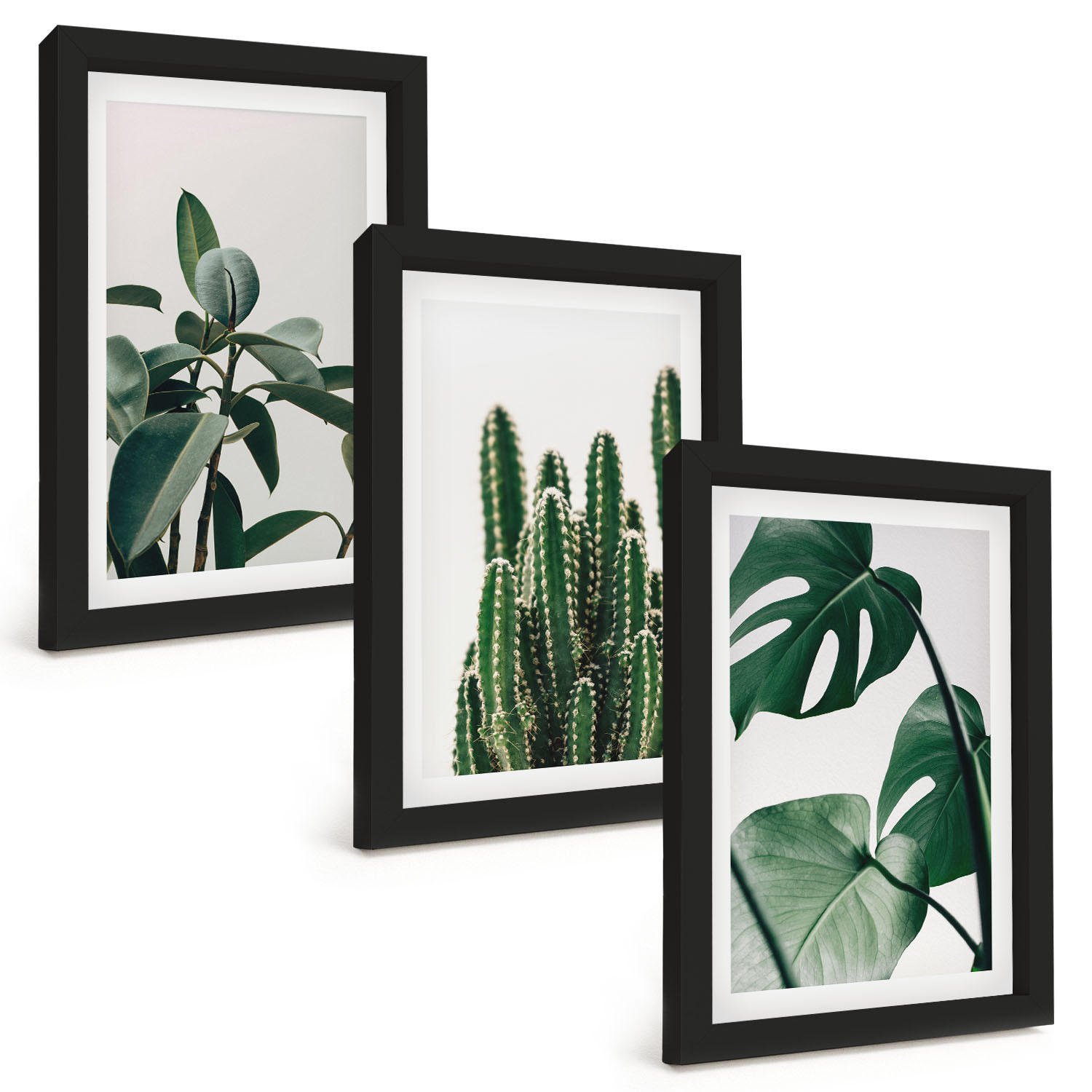 BILDER SET 3er Set - 20x30 cm Schwarzer Rahmen - Tropische ästhetische Pflanzen - Schwarz, Kunststoff (20/30cm) - TULUP