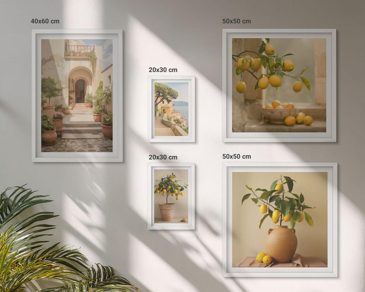BILDER SET 5er Set - 50x50 cm & 20x30 cm & 40x60 cm Weißer Rahmen - Frische, farbenfrohe Zitrusfrüchte - Weiß, Kunststoff (40/60cm) - TULUP