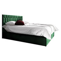 BOXBETT Top M24 - Grün, Holz (160/200cm) - MIRJAN24