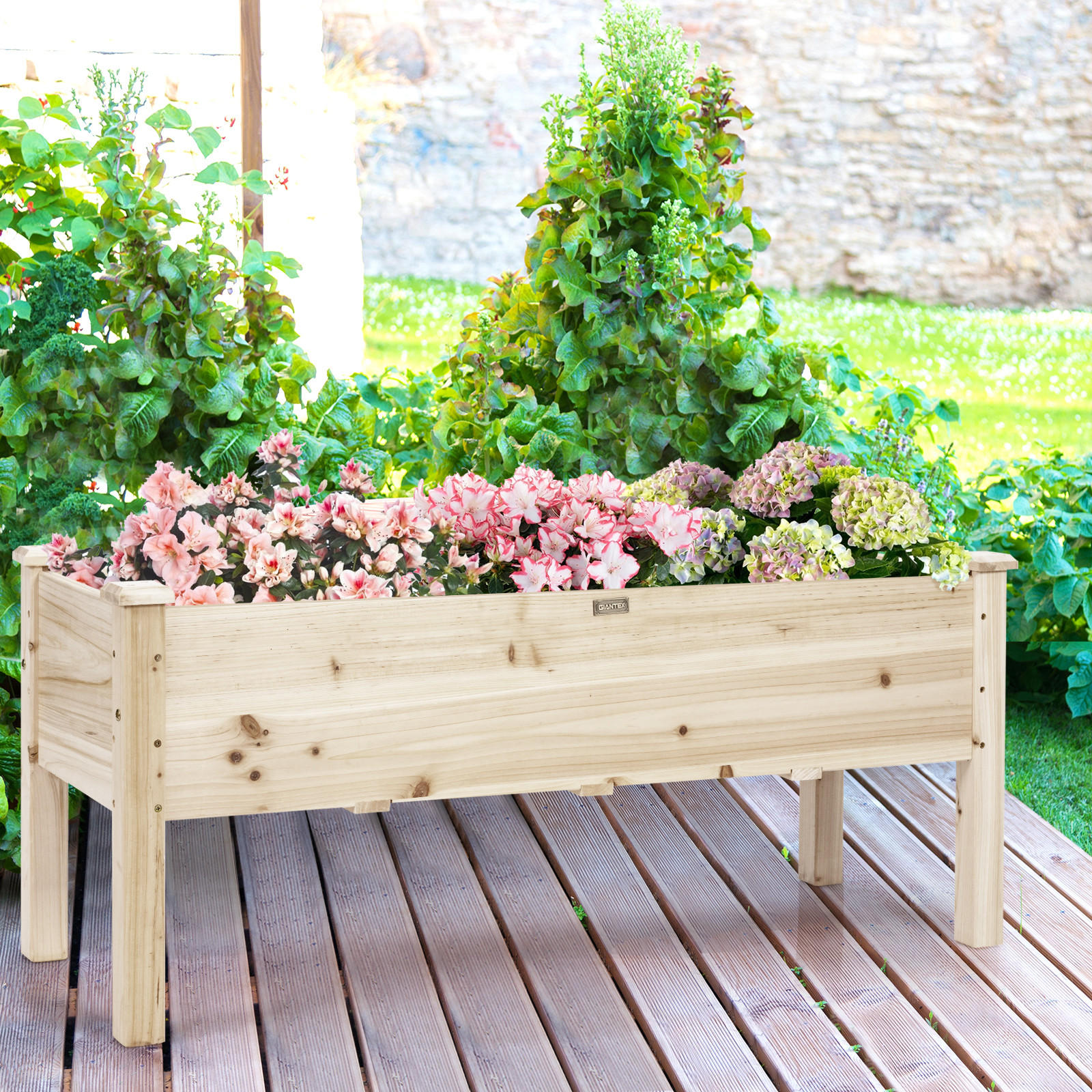 HOCHBEET Pflanzbeet Pflanztrog Holz - Apfelbaumfarben, Holz (44/51/120cm) - COSTWAY