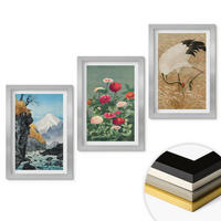 WANDBILDER 3er Set - 20x30 cm Silberner Rahmen - Berglandschaft, Fluss, Blumen, Kraniche - Silberfarben, Kunststoff (20/30cm) - ArtPrintCave