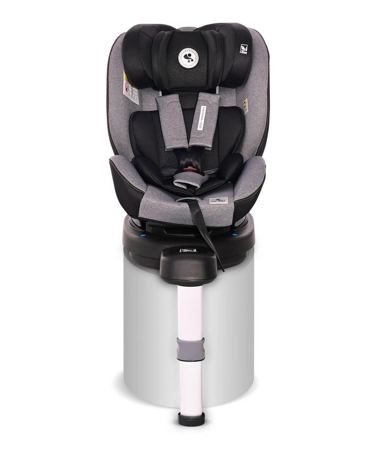 KINDERSITZ Proxima i-Size grau Gruppe 0/1/2 (0 - 25 kg) Isofix verstellbar - Grau, Kunststoff (44/67/63cm) - Lorelli