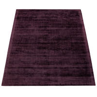 HOCHFLORTEPPICH 240/340 cm Nagpur 260 - Lila, Textil (240/340cm) - Paco Home