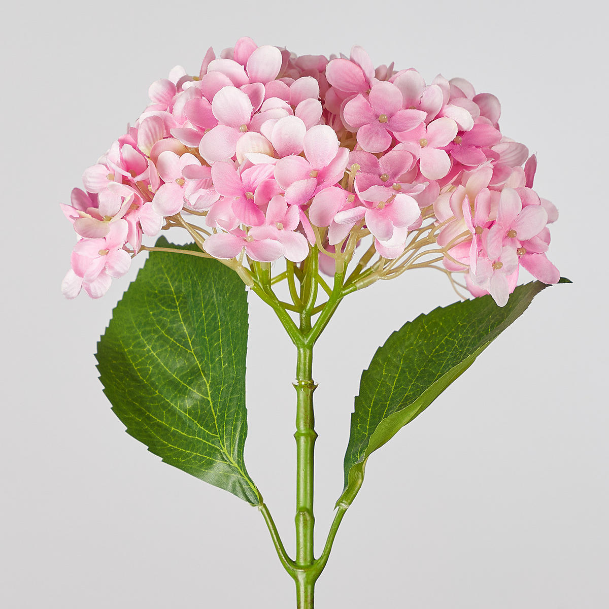 KUNSTBLUME (6er Set) Florista - Pink, Kunststoff (67cm) - BUTLERS