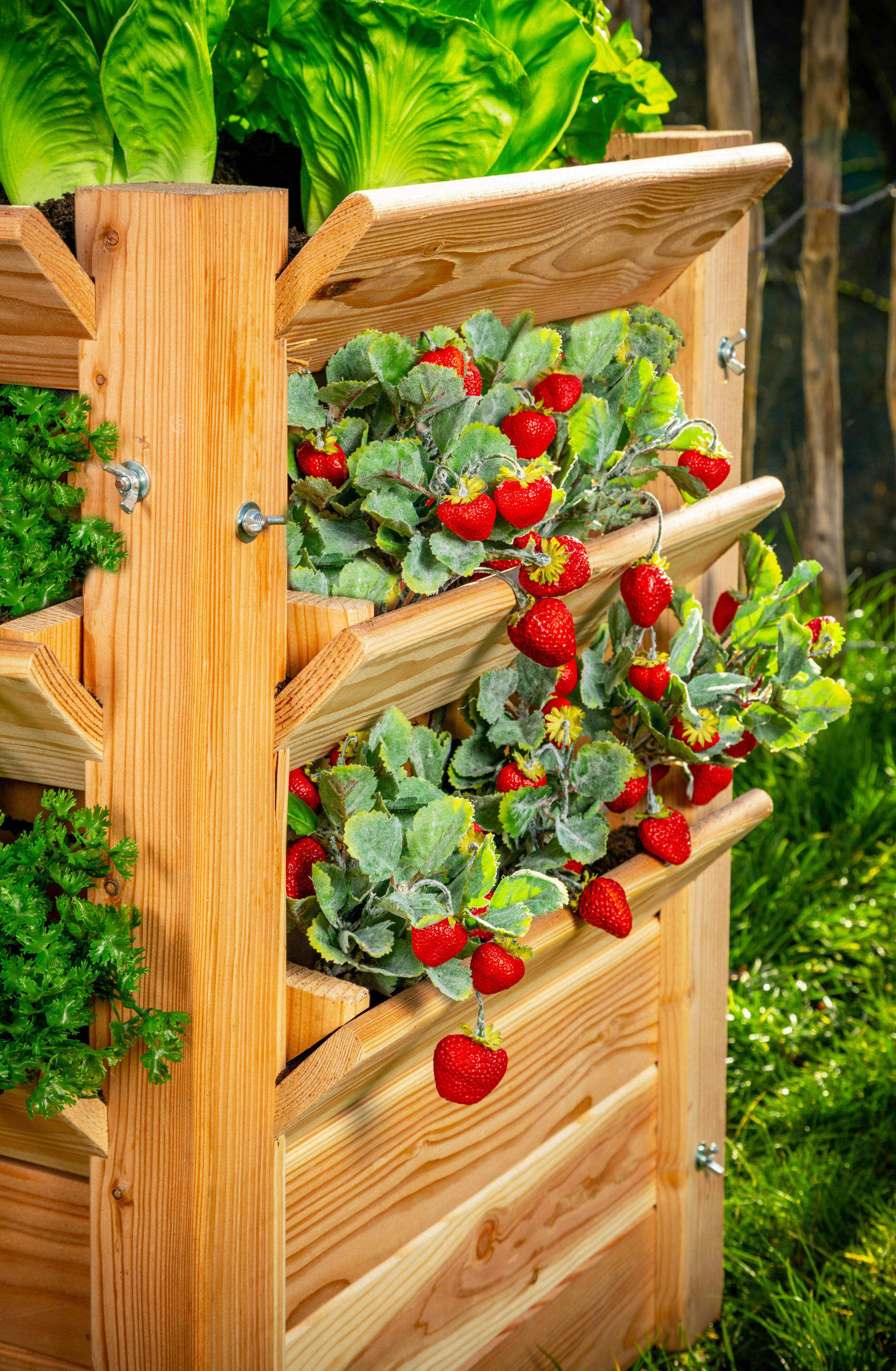 pestovanie jahôd vo vyvýšenom kvetináči