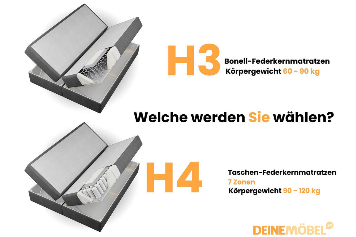 BOXBETT ROSE 120/200 in Velours Dunkelgrau H4 - Dunkelgrau, Holz/Holzwerkstoff (120/200cm) - Deine Möbel 24