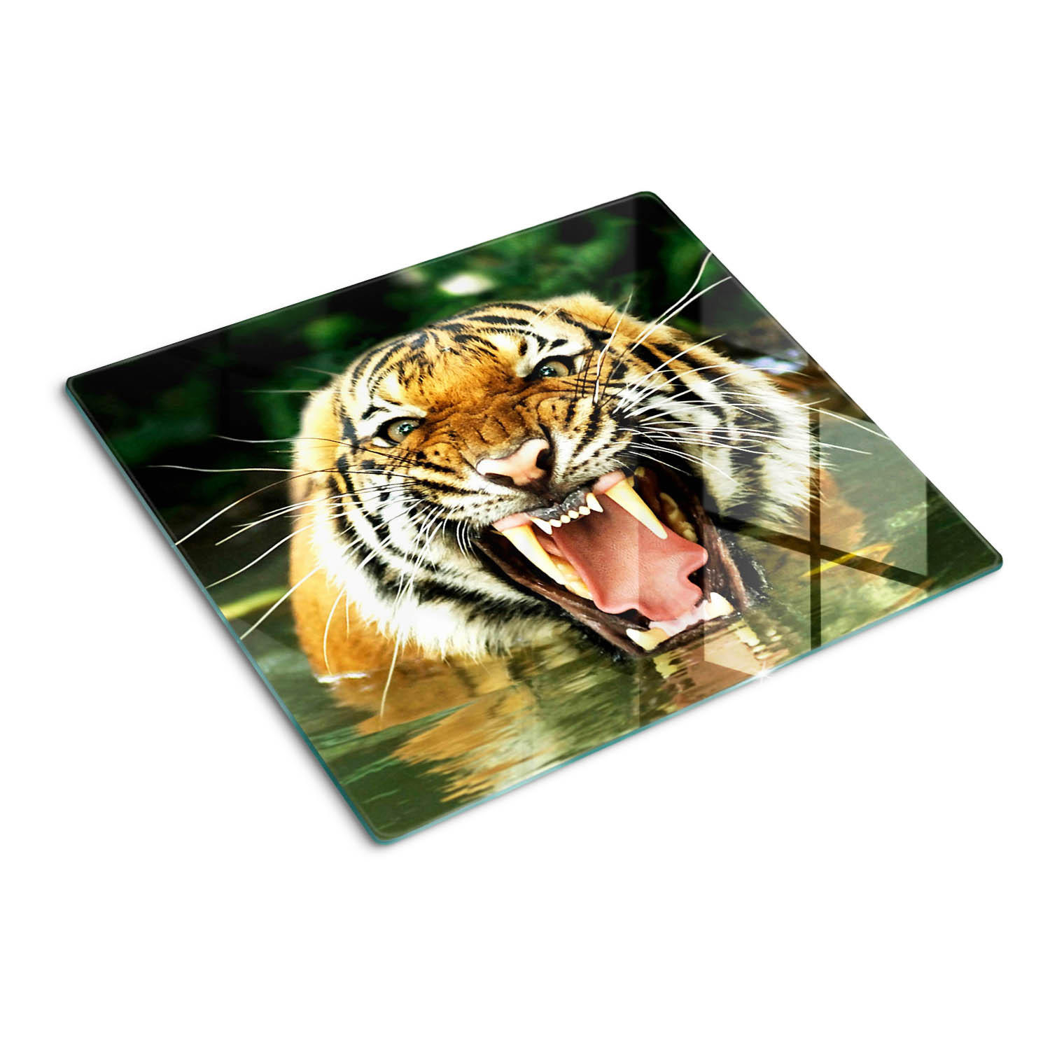 GLASPLATTE 60x52 cm Brüllender Tiger - Orange, Glas (60/0.4/52cm) - TULUP