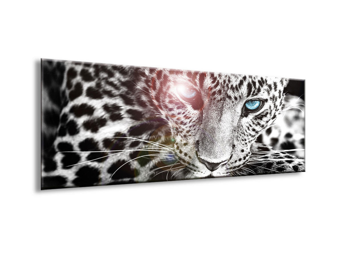 GLASBILD 80x30 cm Leopard Schwarz Weiß - Anthrazit, Glas (80/30cm) - artissimo