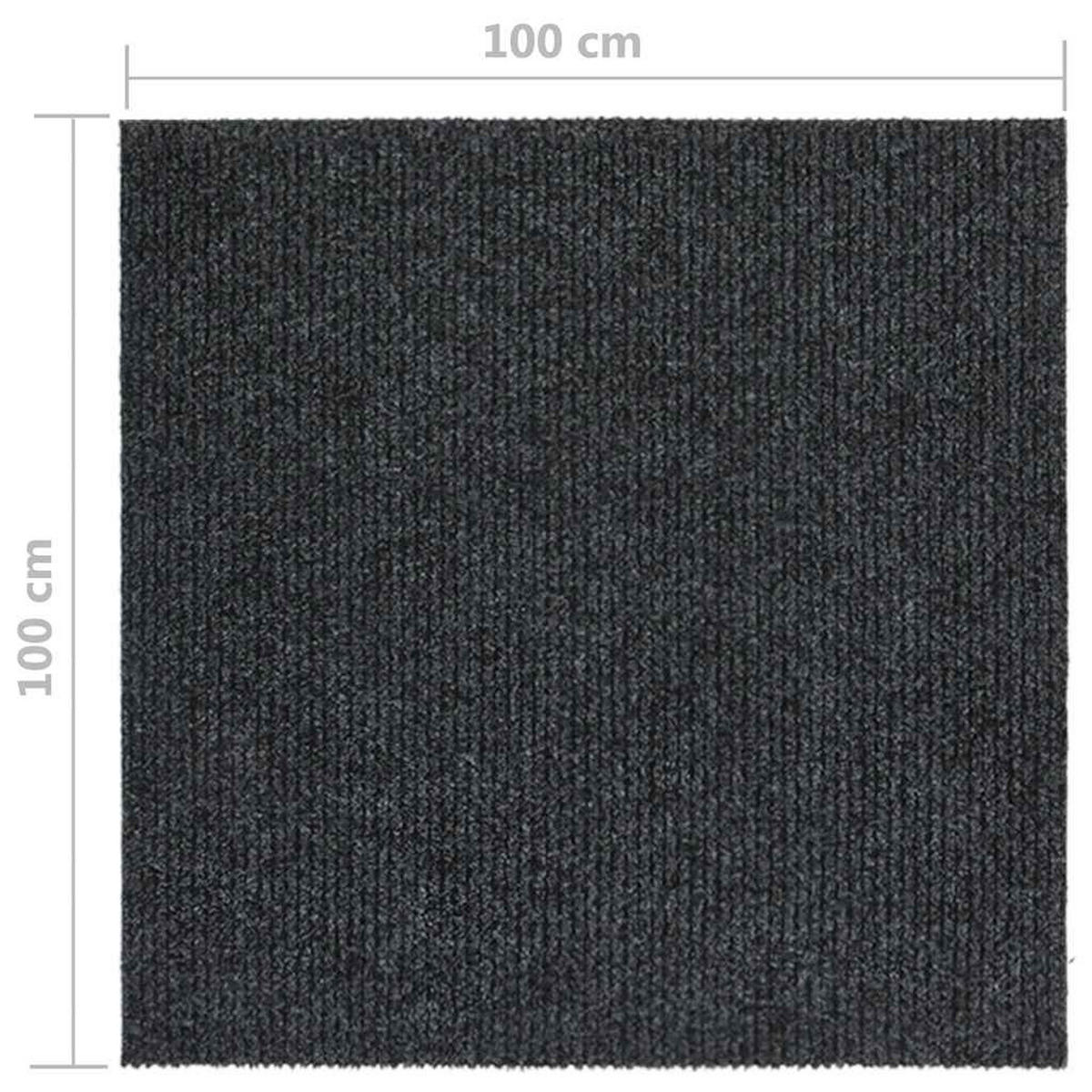 SCHMUTZFANGMATTE 100/100 cm Anthrazit - Anthrazit, Kunststoff/Textil (100/100cm) - vidaXL