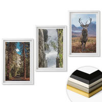 WANDBILDER 3er-Set - 40x60 cm Weißer Rahmen - Straße Wald Berge Hirsch Natur - Weiß, Kunststoff (40/60cm) - ArtPrintCave