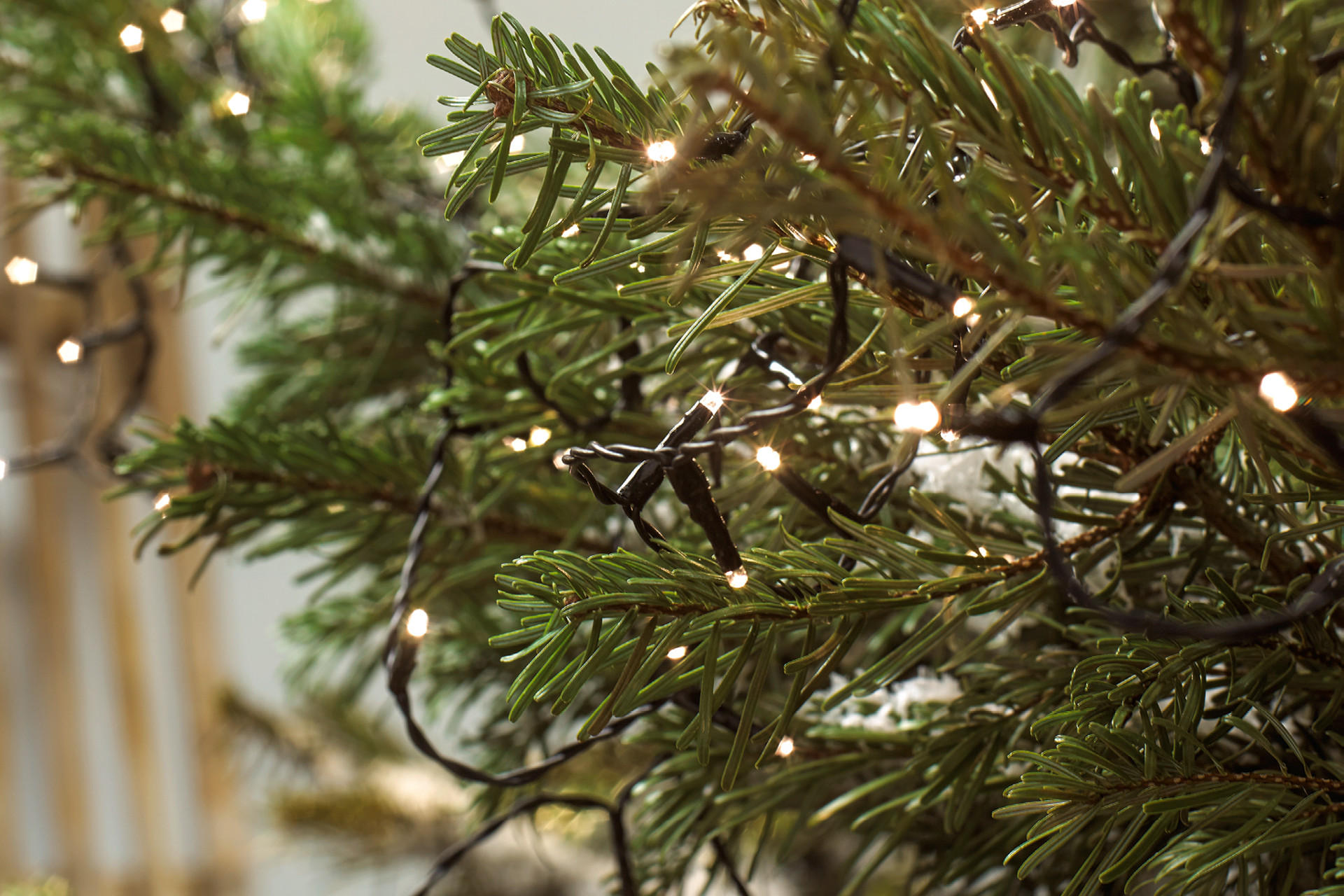 Lichterketten