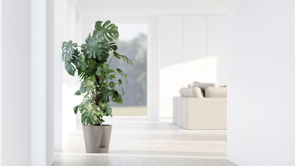 BLUMENTOPF Venice 30/27,5 cm Taupe - Taupe, Kunststoff (30/27.5cm) - Ecopots