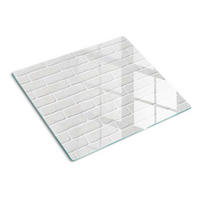 GLASPLATTE 60x52 cm Ziegelmauer - Weiß, Glas (60/0.4/52cm) - TULUP