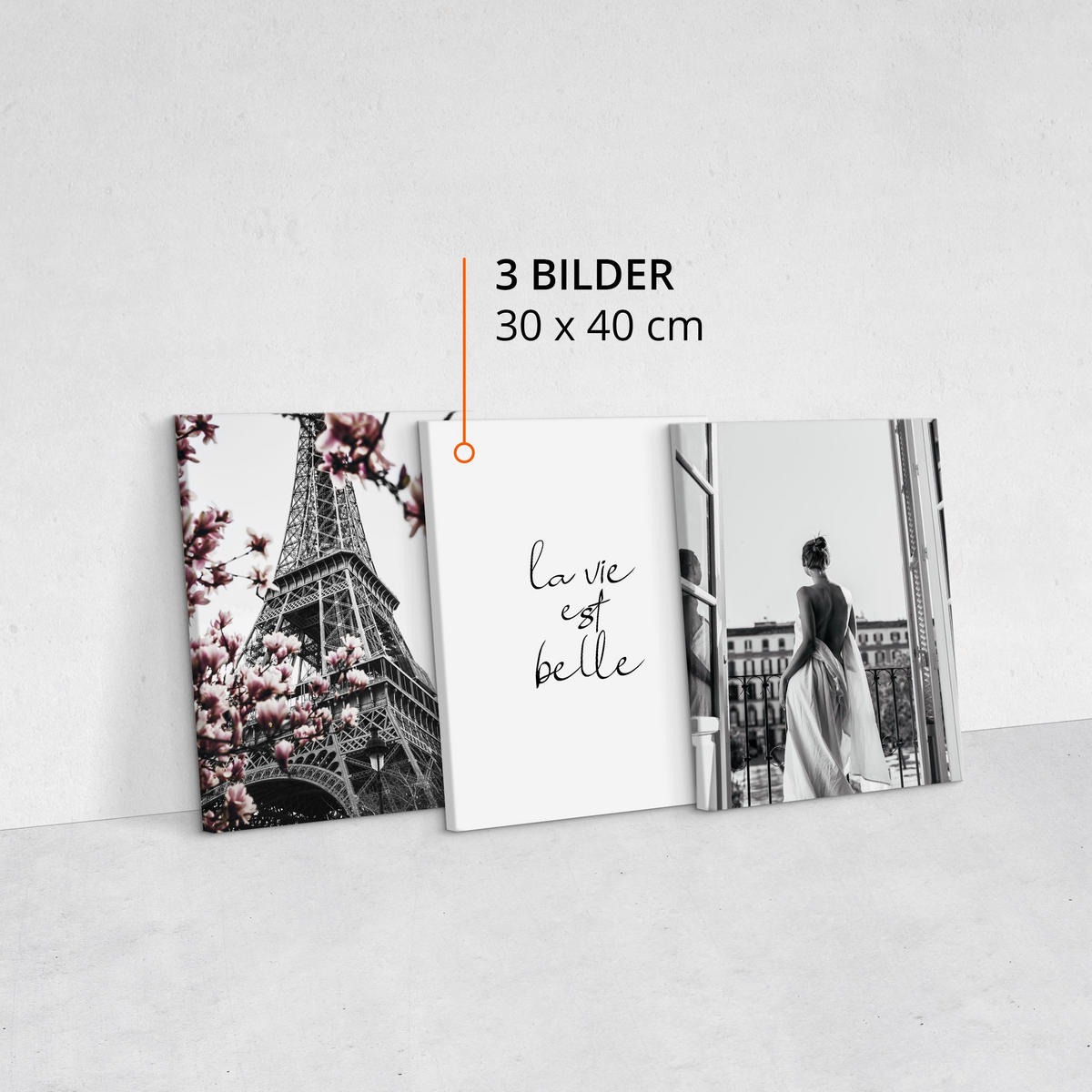 LEINWANDBILDER 3-er Set Blumen Paris 3D - Schwarz/Weiß, Textil (90/40cm) - Muralo
