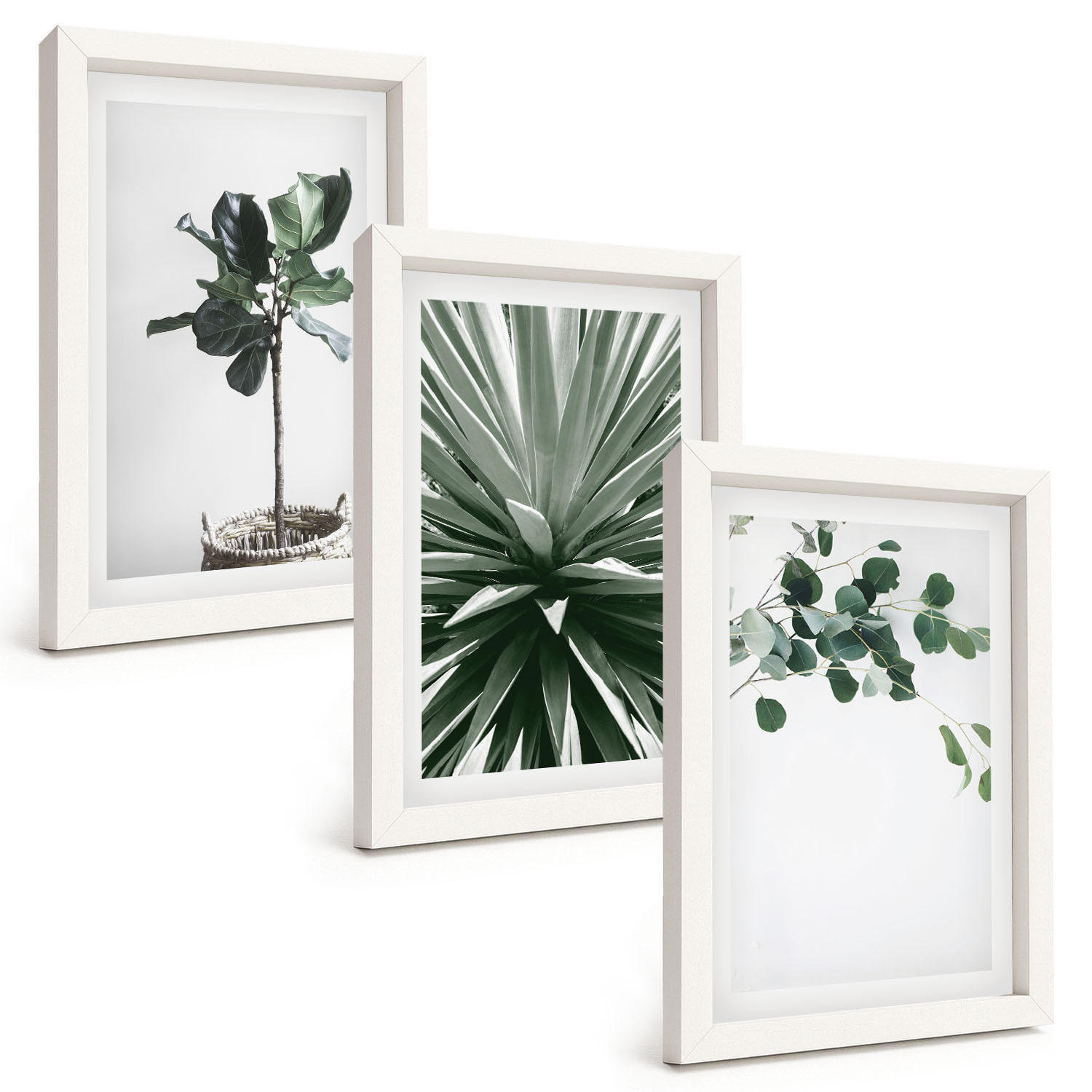 BILDER SET 3er Set - 20x30 cm Weißer Rahmen - Minimalismus mit grünen Pflanzen - Weiß, Kunststoff (20/30cm) - TULUP