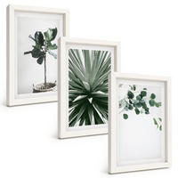 BILDER SET 3er Set - 20x30 cm Weißer Rahmen - Minimalismus mit grünen Pflanzen - Weiß, Kunststoff (20/30cm) - TULUP