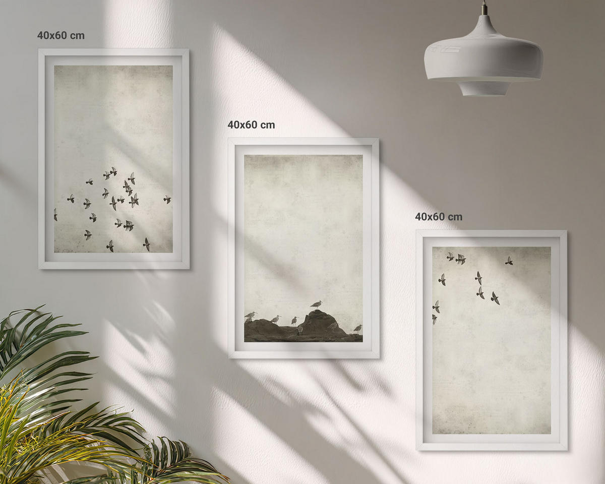 WANDBILDER 3er-Set - 40x60 cm Weißer Rahmen - Vögel im Flug, minimalistischer Stil - Weiß, Kunststoff (40/60cm) - ArtPrintCave