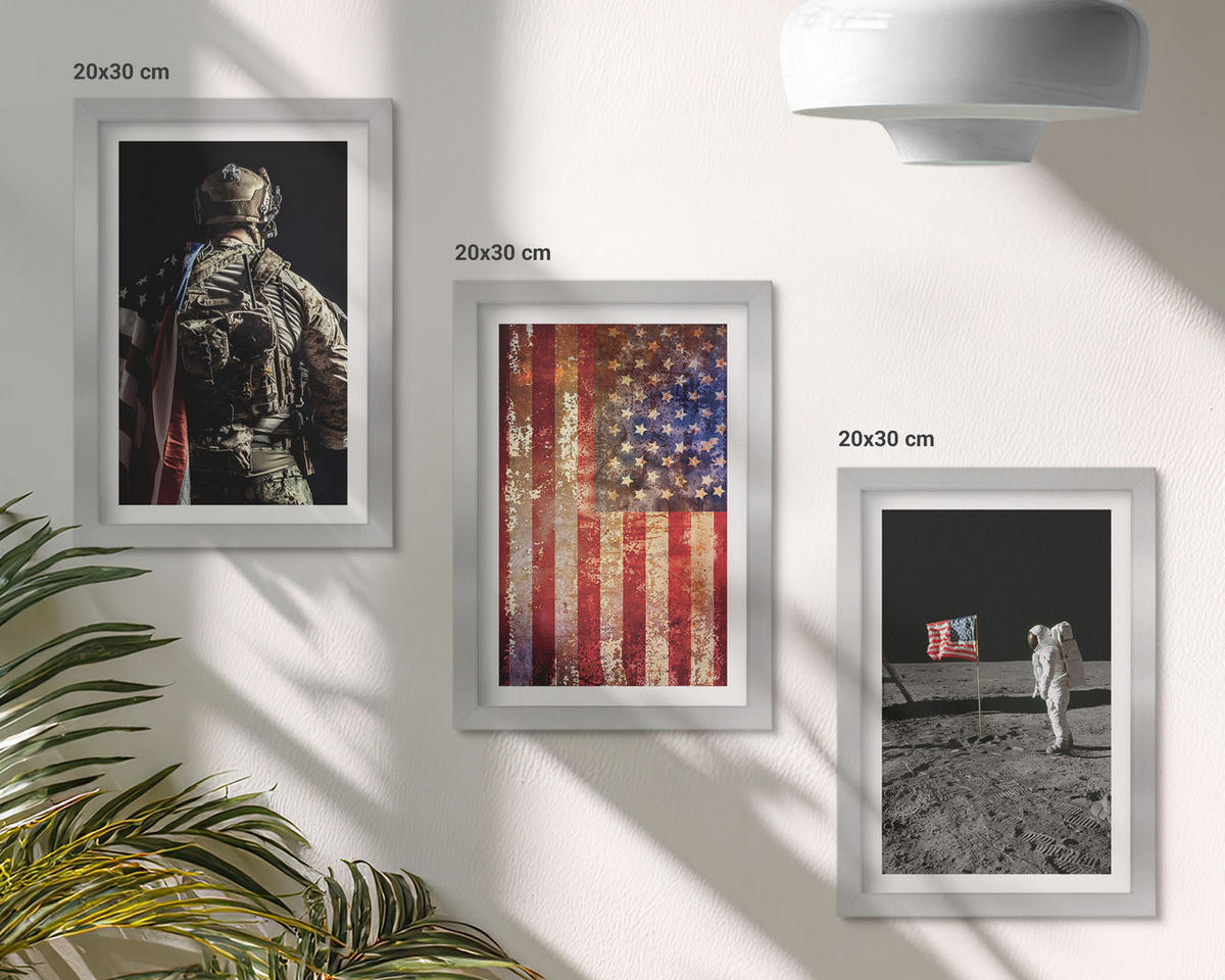 BILDER SET 3er Set - 20x30 cm Silberner Rahmen - Amerikanische Symbole, USA-Flagge - Silberfarben, Kunststoff (20/30cm) - TULUP