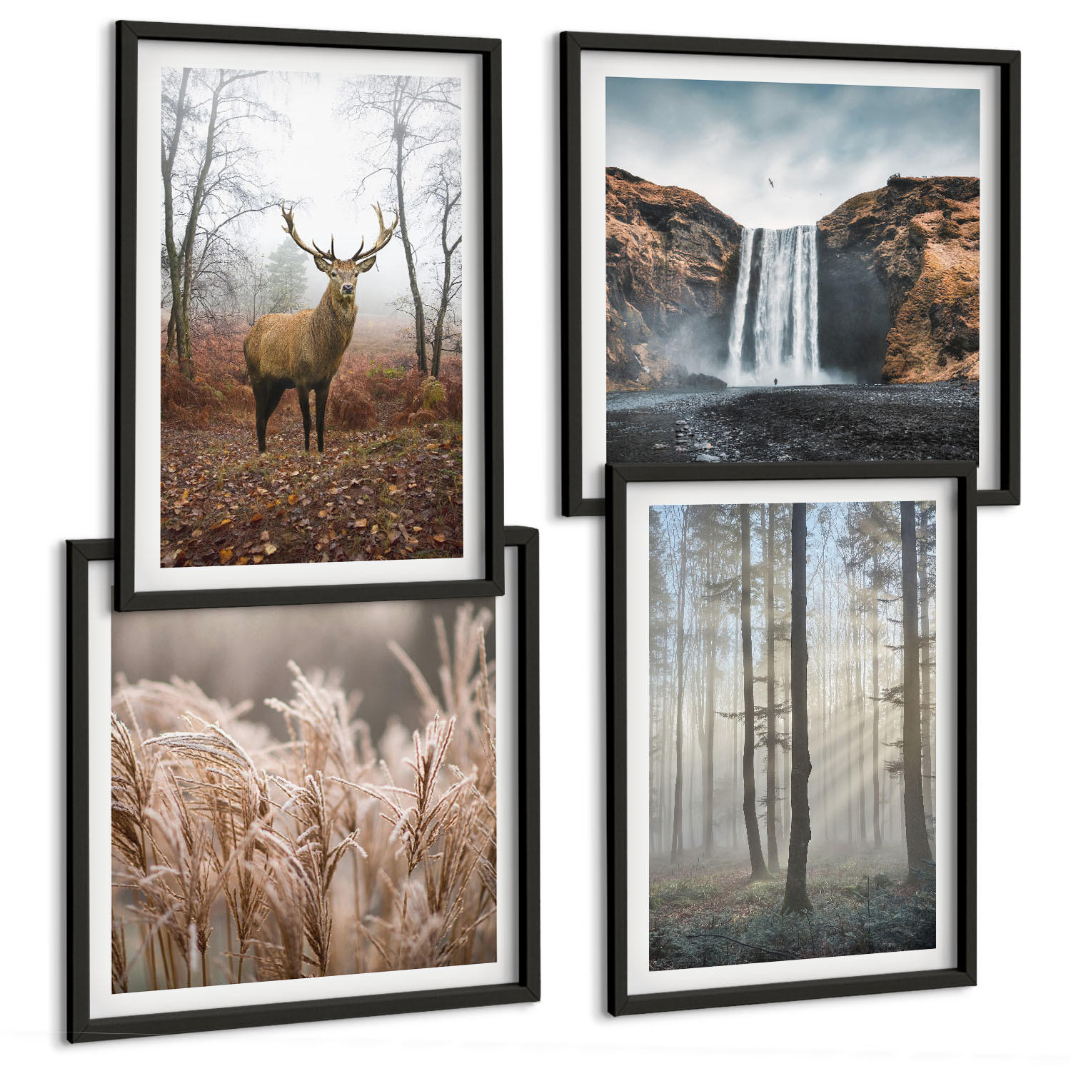 BILDER SET 4er Set - 50x50 cm & 40x60 cm Schwarzer Rahmen - Waldlandschaften der Wildnis - Schwarz, Kunststoff (50/50cm) - TULUP