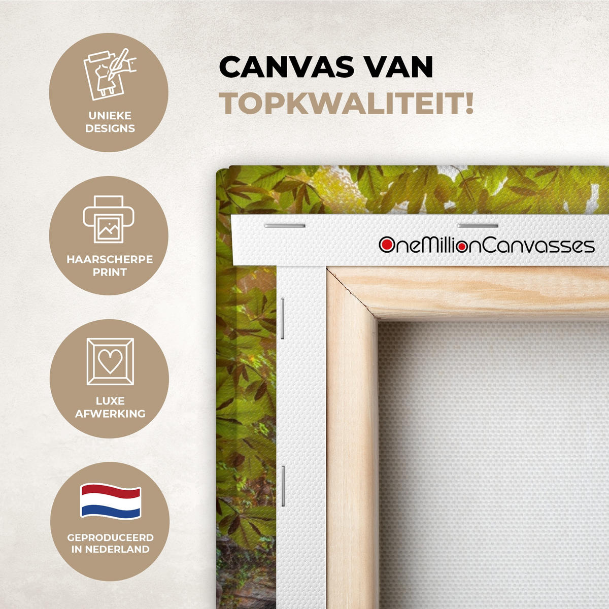 LEINWANDBILD Natur - Wasserfall - Pflanzen - Bäume - Sonne Wandbild Wohnzimmer 50x50 cm - Olivgrün, Textil (50/50cm) - MuchoWow