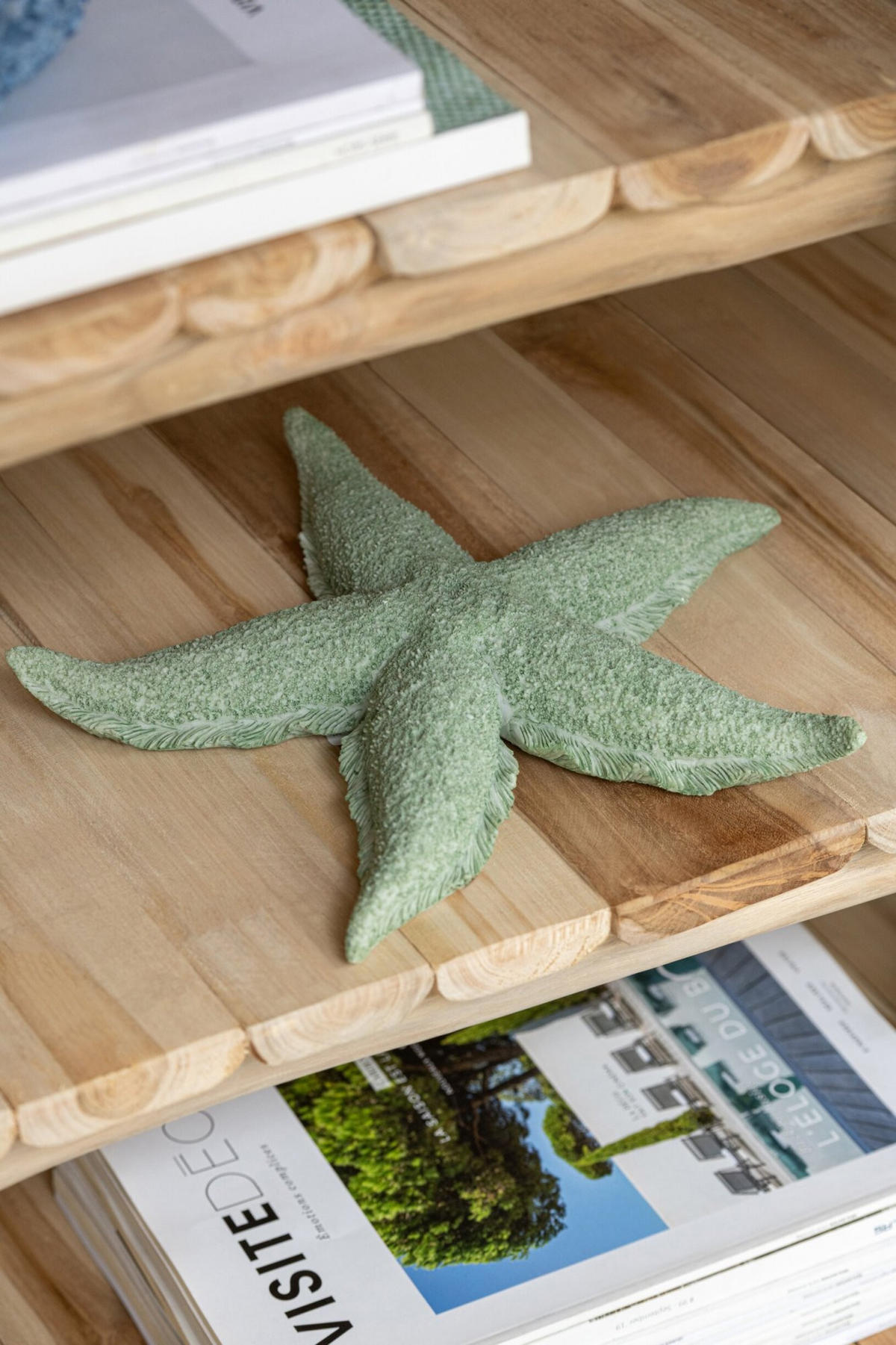 DEKOOBJEKT SEESTERN - Grün, Glas/Naturmaterialien (30/4/30cm) - J-Line