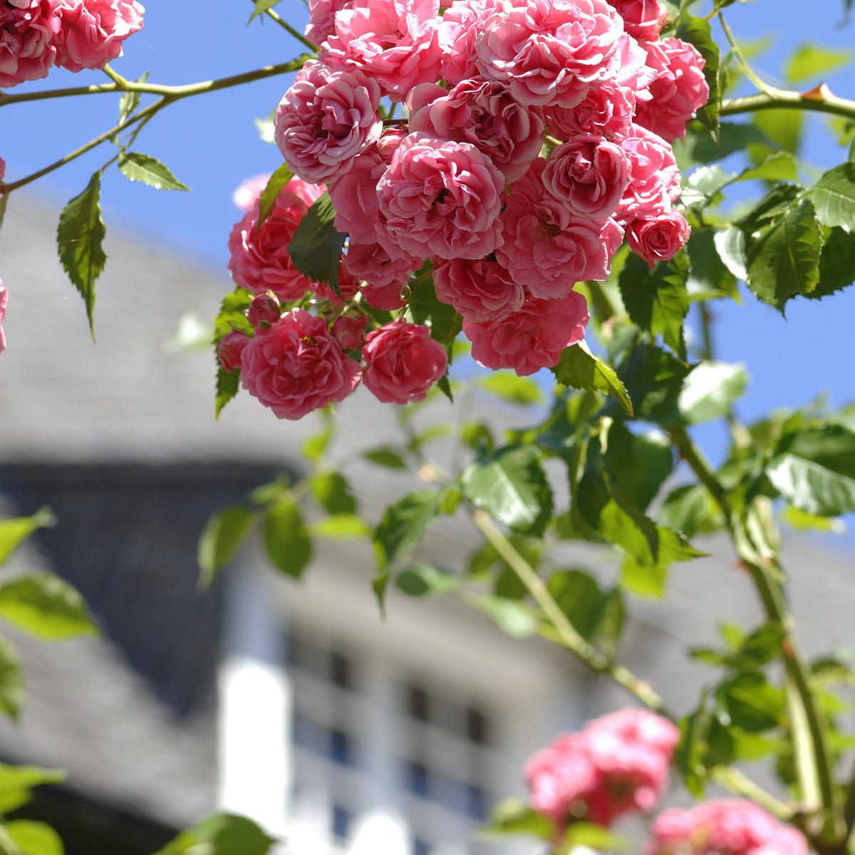 2XRANKTURM - Schwarz, Metall (29/149/29cm) - Relaxdays