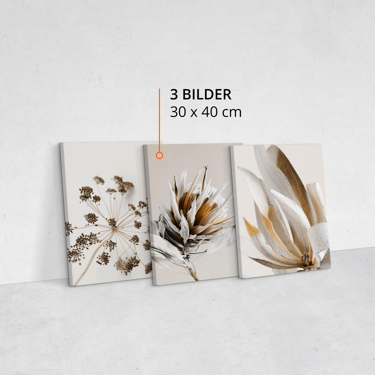 LEINWANDBILDER 3-er Set Blumen Natur 3D - Beige/Schwarz, Textil (90/40cm) - Muralo