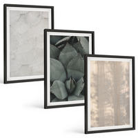 BILDER SET 3er Set - 40x60 cm Schwarzer Rahmen - Sommerliche tropische Texturen - Schwarz, Kunststoff (40/60cm) - TULUP