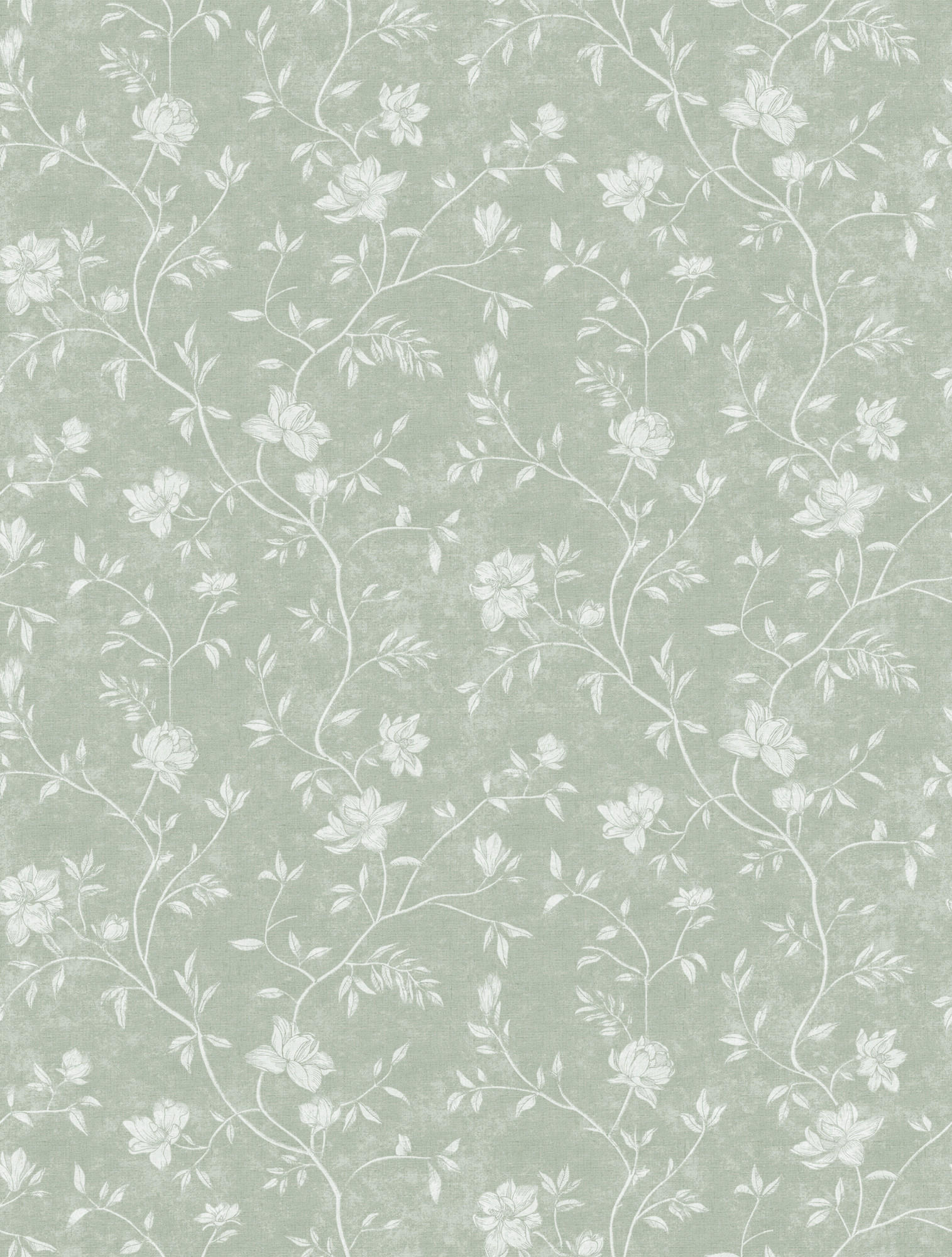 TAPETE Blumen 53 cm x 10 m - Grün, Papier (53/0.1cm) - Sanders & Sanders