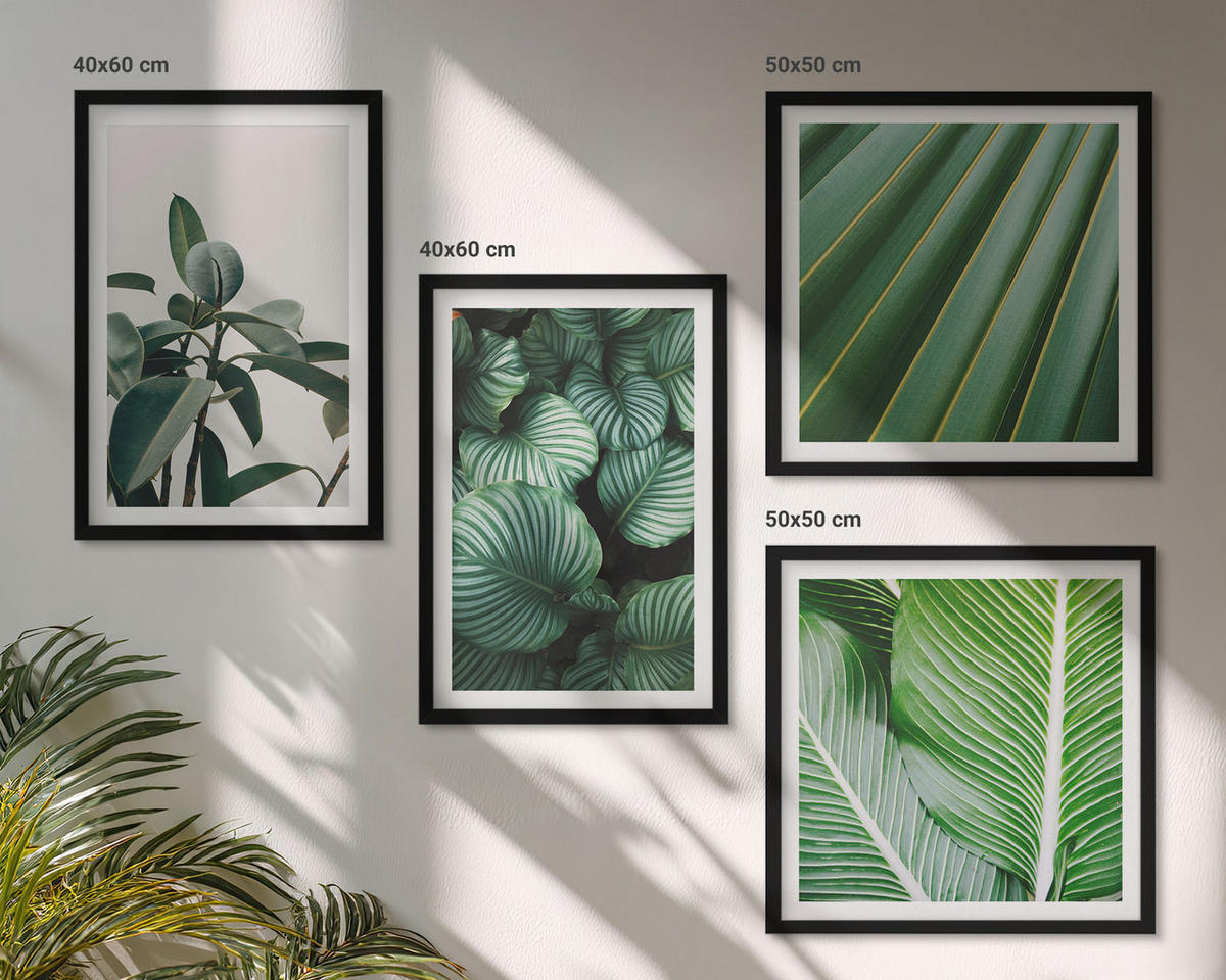 WANDBILDER 4er-Set - 50x50 cm & 40x60 cm Schwarzer Rahmen - Tropische Blätter in Grün - Schwarz, Kunststoff (50/50cm) - ArtPrintCave