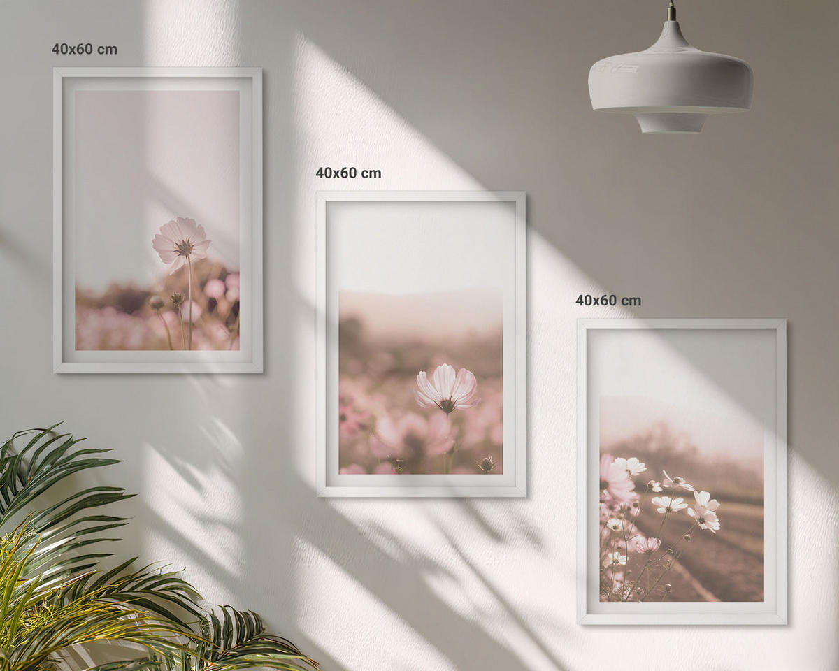 BILDER SET 3er Set - 40x60 cm Weißer Rahmen - Sommerlandschaften mit Wildblumenwiesen - Weiß, Kunststoff (40/60cm) - TULUP