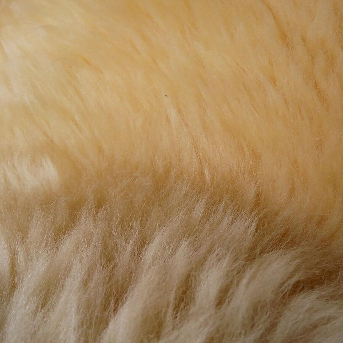 TEPPICH Baby Lammfell medizinisch gegerbt langflorig 110 cm - Beige/Goldfarben, Fell (65/110cm) - Provellus