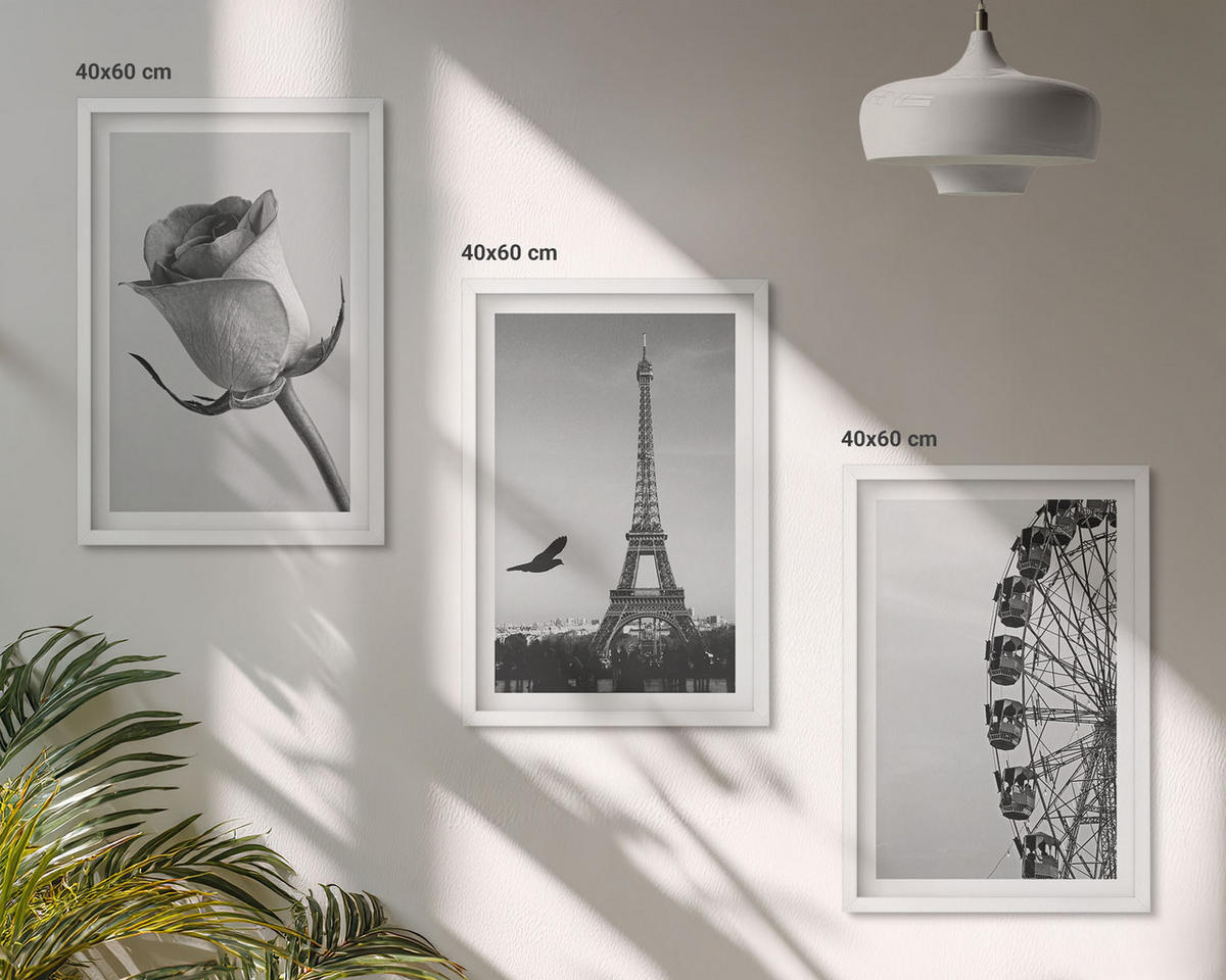 BILDER SET 3er Set - 40x60 cm Weißer Rahmen - Rose Eiffelturm Riesenrad - Weiß, Kunststoff (40/60cm) - TULUP