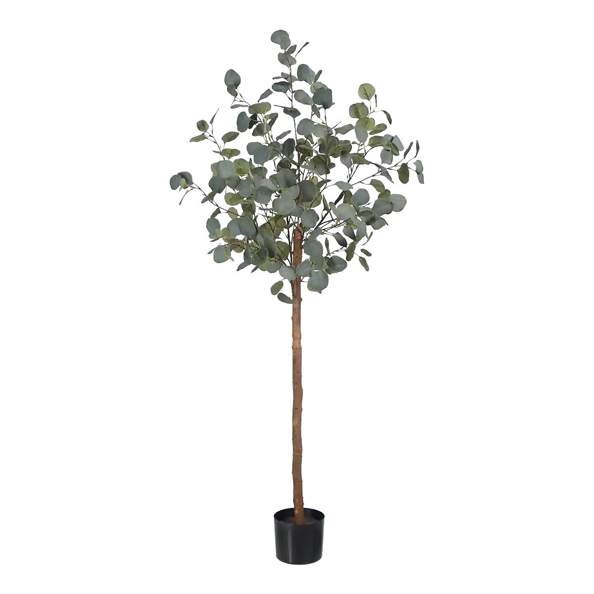 KUNSTBAUM Künstlicher Eucalyptus Baum - Parla 150 cm - Grün, Kunststoff (150cm) - aplanta
