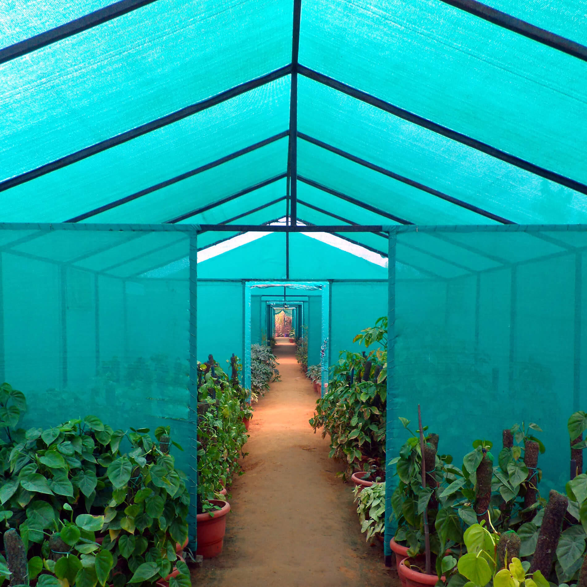 Thumbnail - Mobili Rebecca Balkonabdeckung, Grün, Kunststoff, Rechteckig, 2500x150 cm, Sonnen- & Sichtschutz, Sichtschutz Garten, Ba...