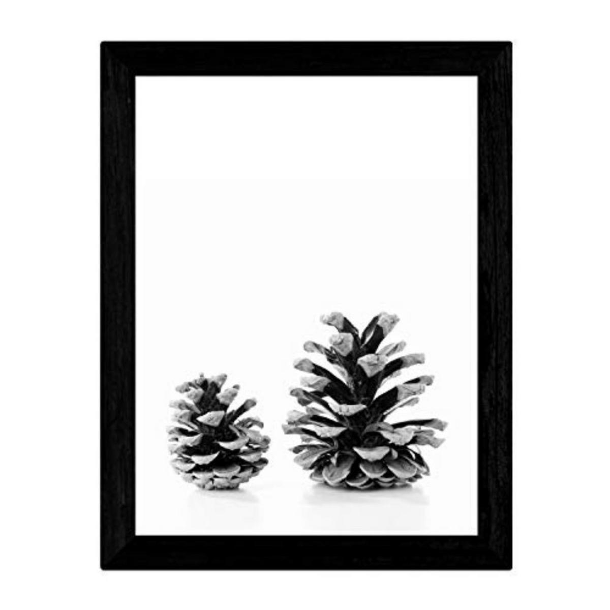 POSTER Pinecone – Schwarz-Weiß A3 Rahmenlos - Klar, Papier (29.7/5/42cm) - Nacnic
