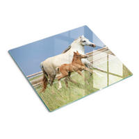 GLASPLATTE 60x52 cm Stute mit Fohlen - Beige, Glas (60/52cm) - TULUP