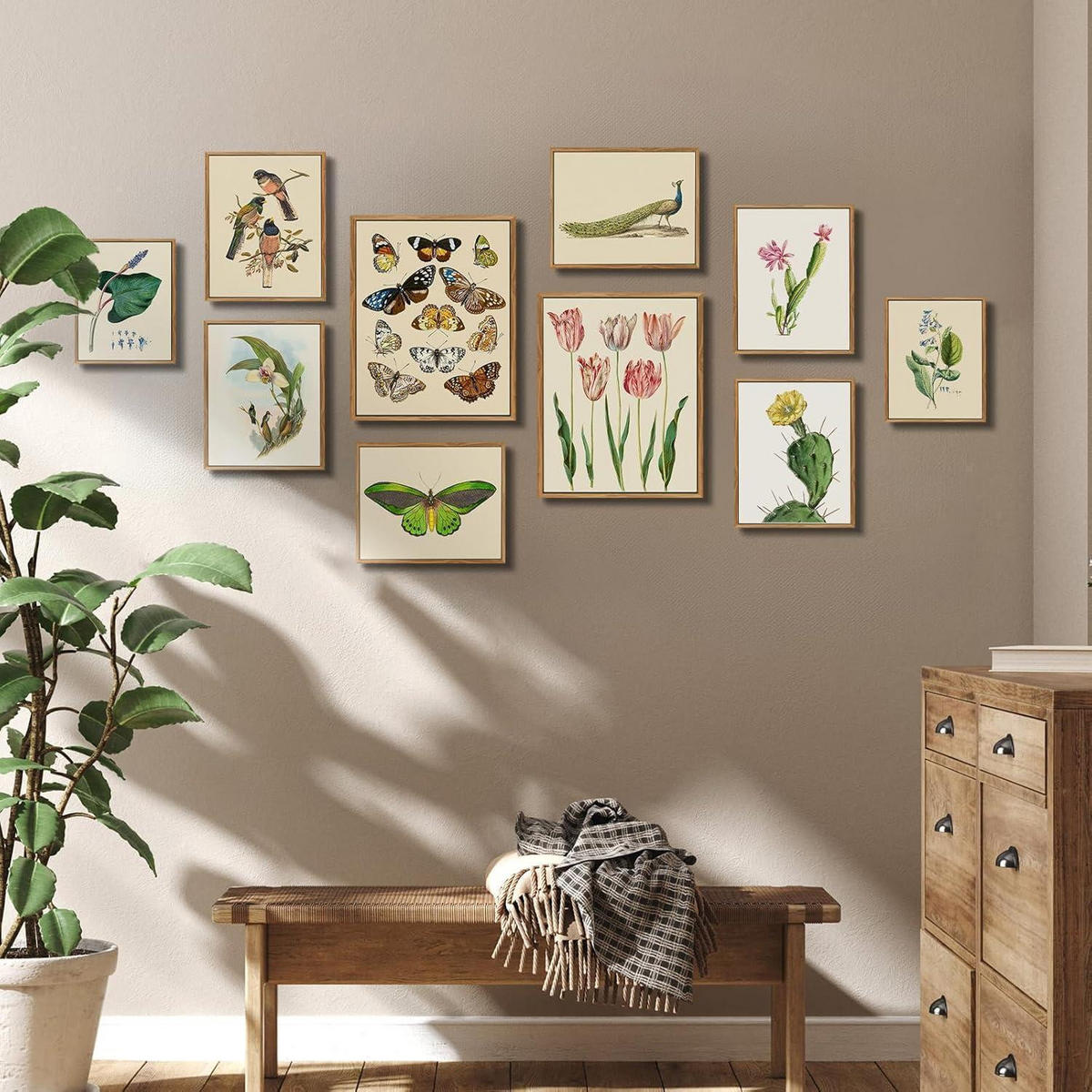 LEINWANDBILD mit Rahmen Botanisch Opuntie 20 x 25 cm - Grün, Holz (20/0.5cm)