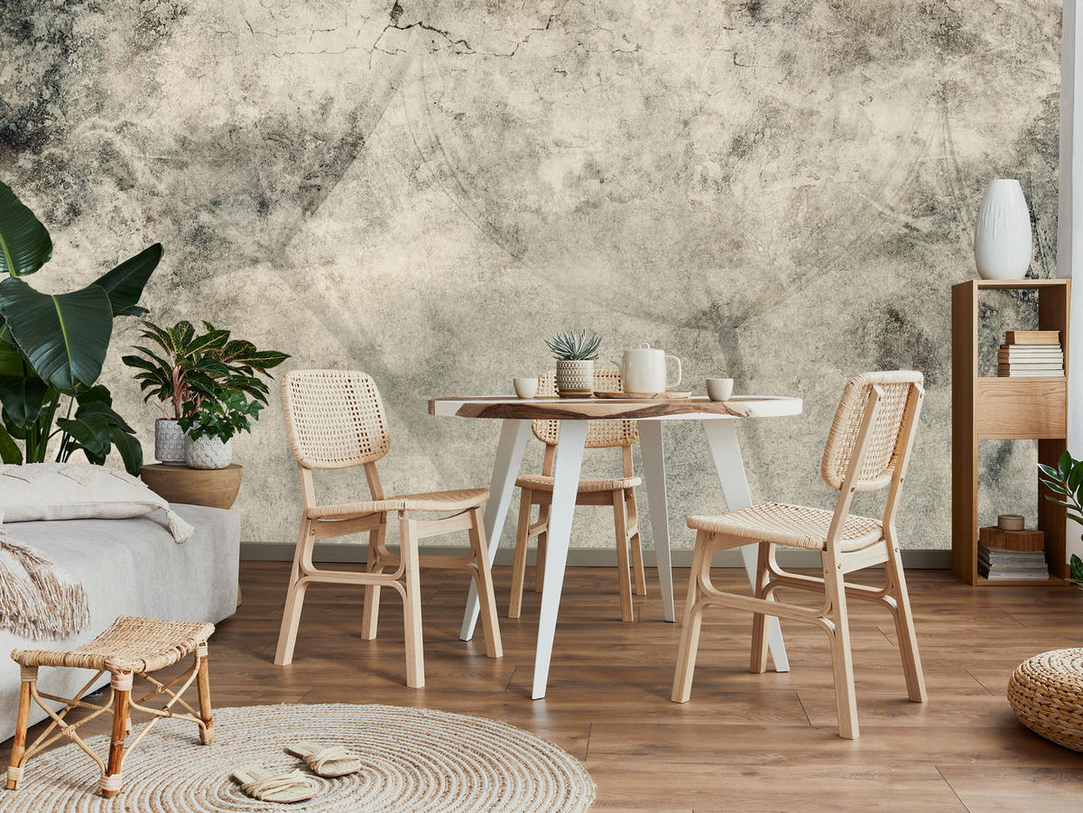 FOTOTAPETE für Wohnzimmer Löwenzahnsamen Beton Abstraktion Retro 250x175 - Beige/Braun, Papier (250/175cm) - Muralo