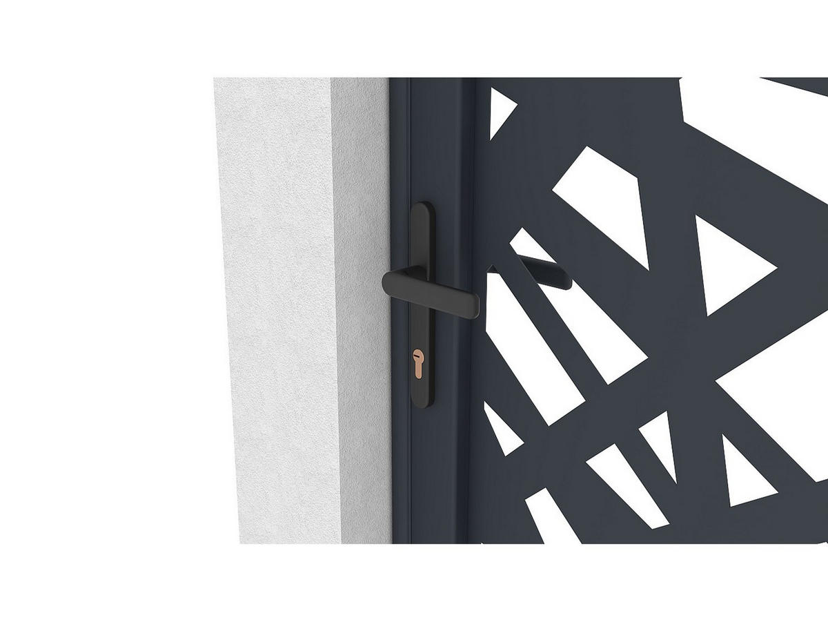 EINGANGSTOR - 103 cm x 4.6 cm - metall - anthrazitgrau Natafo - Anthrazit, Metall (103/176cm) - Vente-Unique