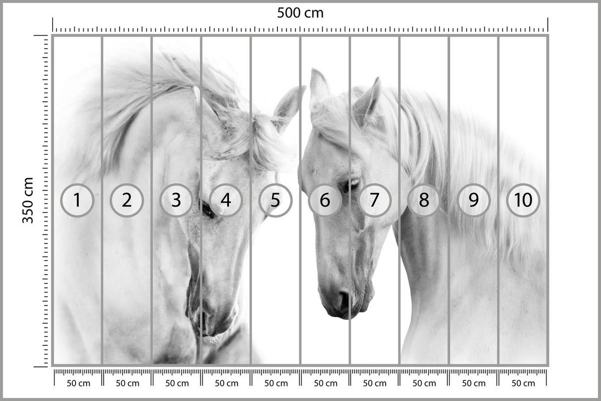 FOTOTAPETE für Schlafzimmer Weiße Pferde Grauer Hintergrund Eleganz Tierwelt 500x350 - Weiß/Grau, Papier (500/350cm) - Muralo